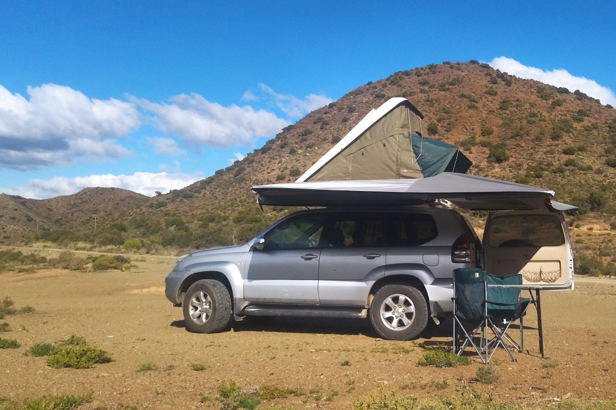 Safari for sale
