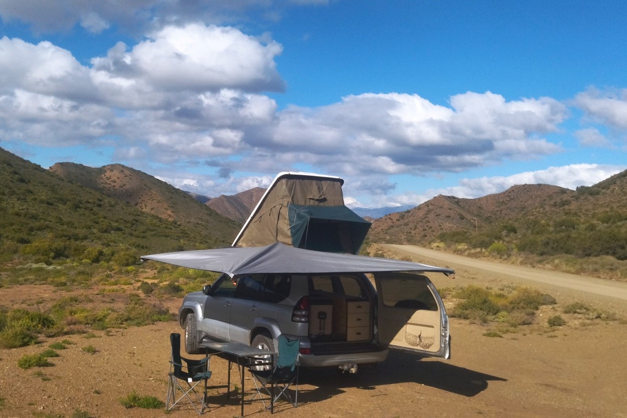 Safari for sale
