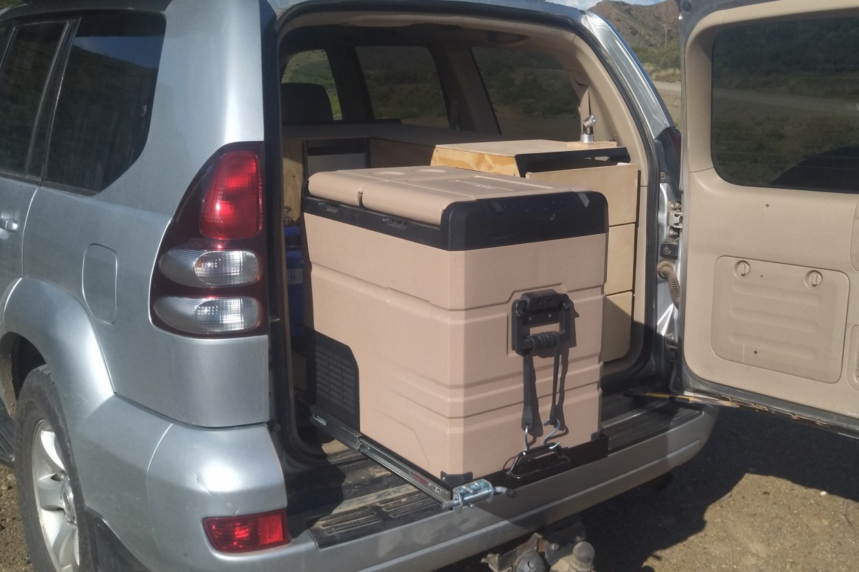Safari for sale